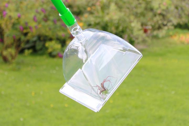 Immagine prodotto Katcha Insetticida Big Bug