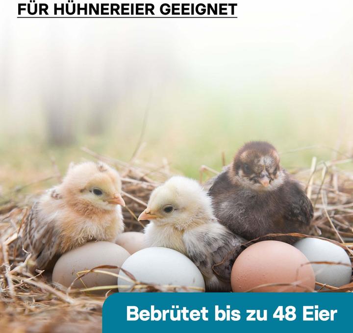 Produktbild Wiltec Automatische Brutmaschine