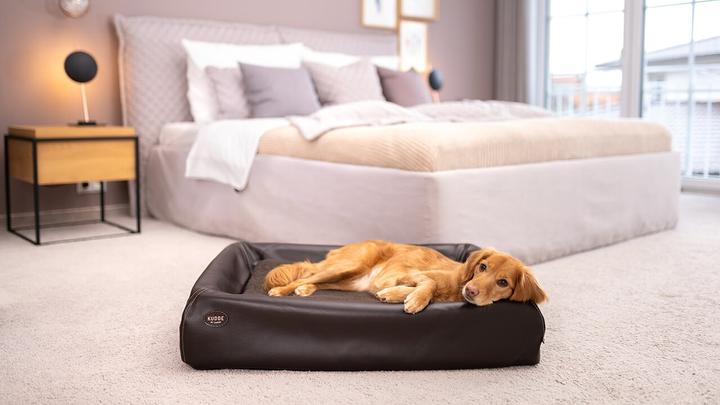 Produktbild Sabro Hundebett Kudde (Hund)