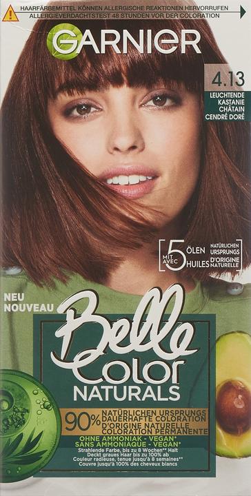 Image du produit Garnier Belle Couleur (41365 Châtaignier lumineux)