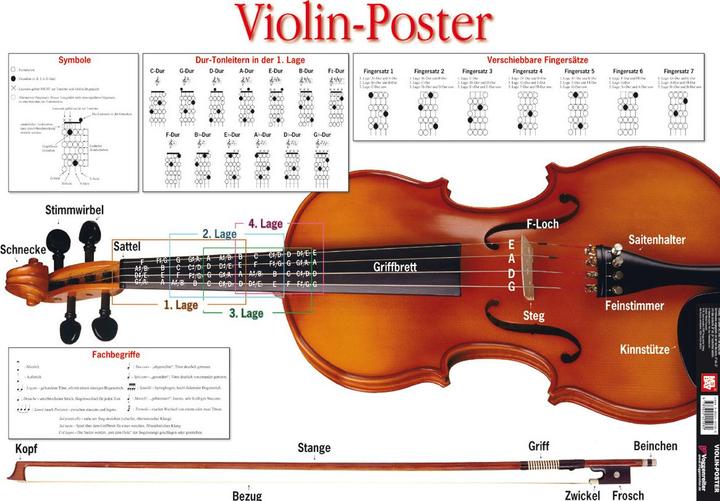 Produktbild Das Violin-Poster (Martin Norgaard, Deutsch)