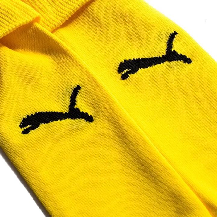 Actual product image Puma Team LIGA Socks CORE-703441 (35, 39)