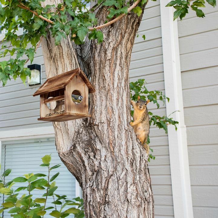 Actual product image Relaxdays Bird Feeder