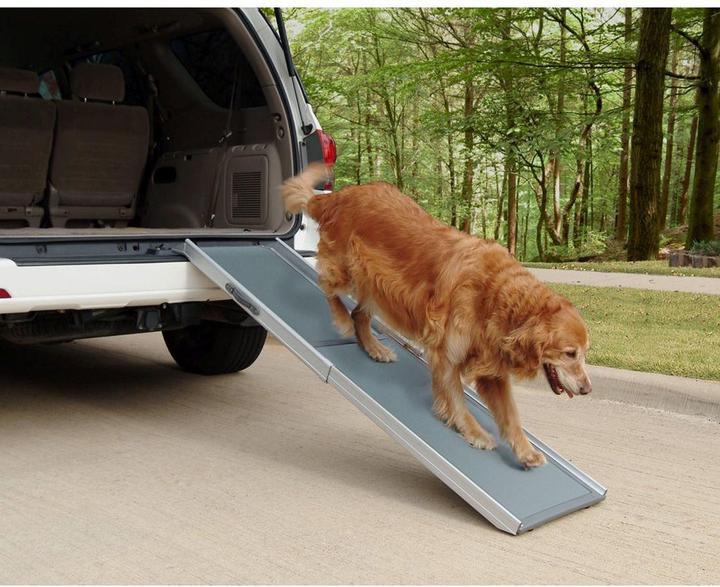 Image du produit PetSafe Rampe pour chiens télescopique (Chien, Réflecteurs)