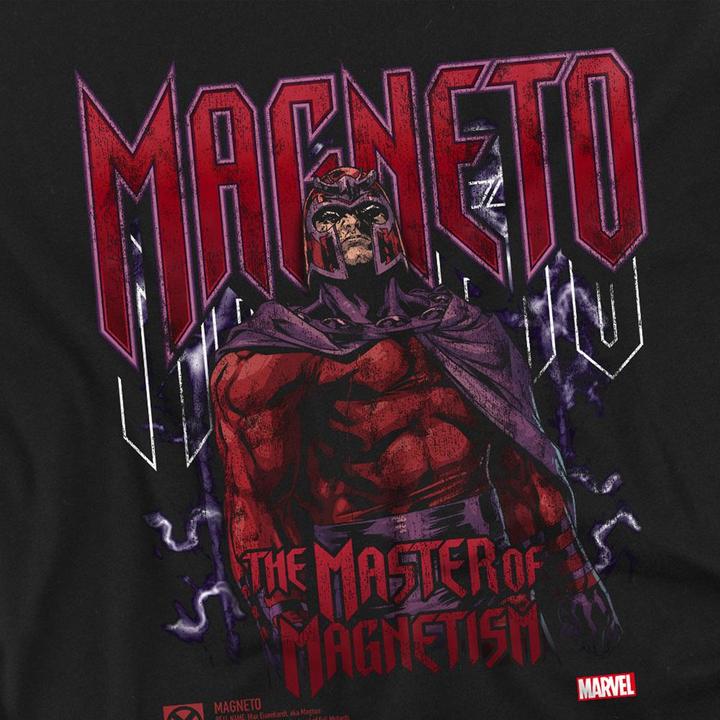 Produktbild XMen TShirt (L)