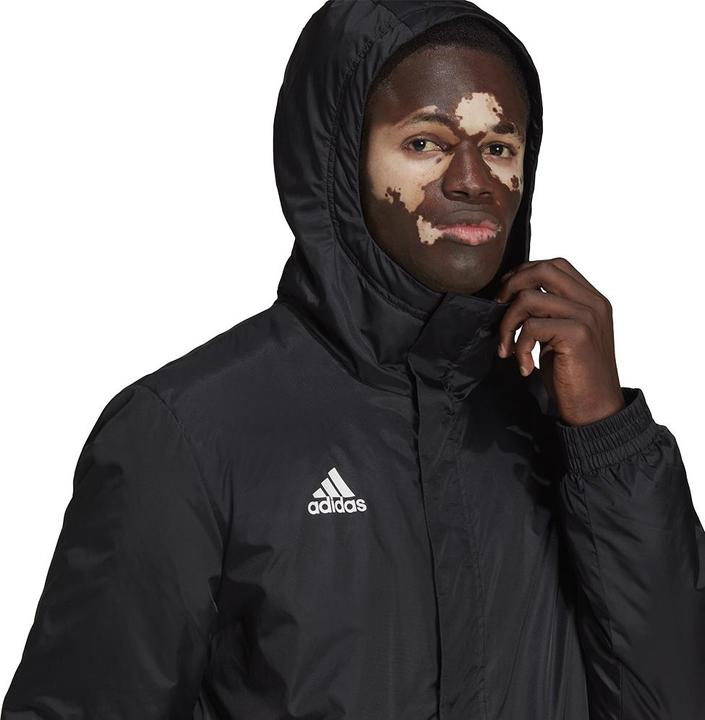 Image du produit adidas Entrada 22 Stade Veste d'hiver Hommes (S)