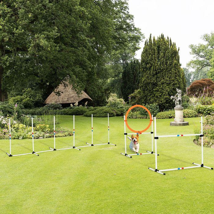 Produktbild Swisshandel24 Hunde Agility Set 3-tlg. inklusive Tasche Weiss+Gelb (Agility)