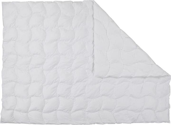 Produktbild Albis Estival Arven (480 g, 240 x 240 cm)