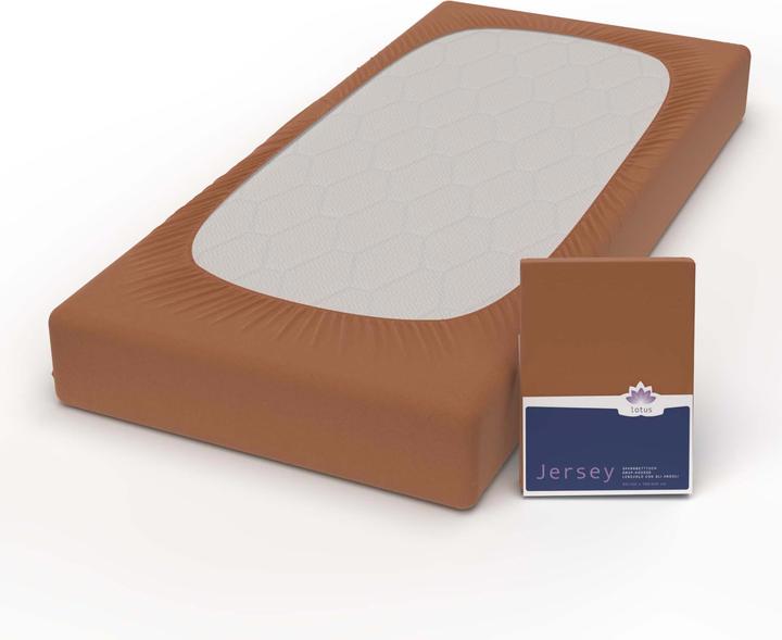 Image du produit Lotus Bettwaren Jersey Fix Comfort (180 x 200 cm)