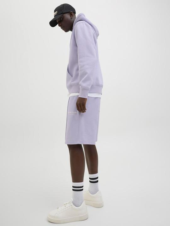 Actual product image Jack & Jones Jpstkane Vesterbro Sweat Shorts Lng Sn (XXL)