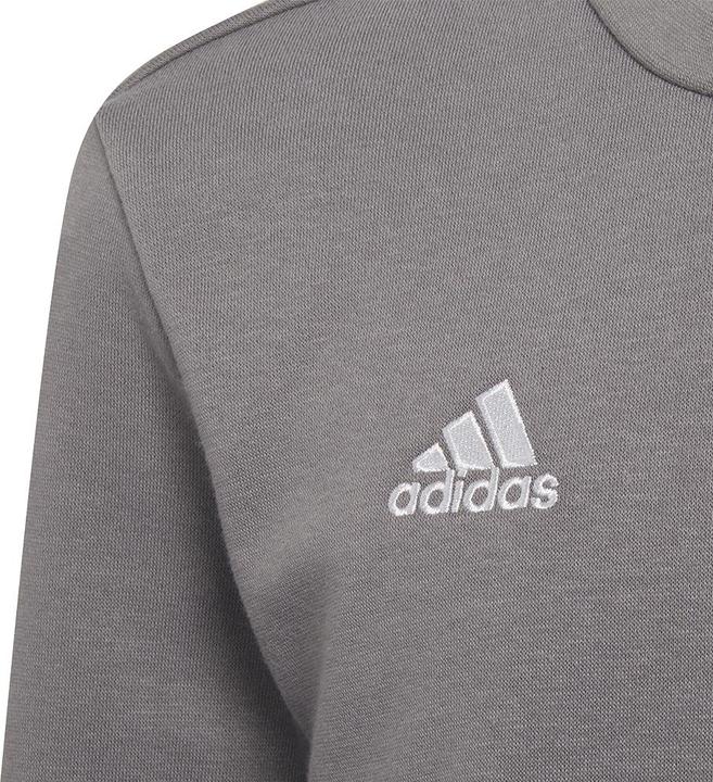 Actual product image adidas Entrada 22 sweatshirt kids (164)