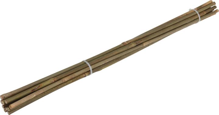 Immagine prodotto Natura Punto Pali per piante Pali di bambù (60 cm, 60 cm)