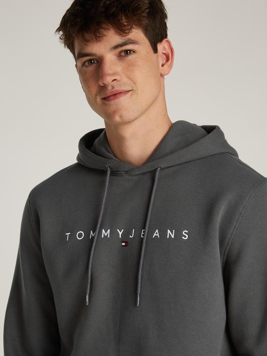 Produktbild Tommy Jeans Tjm Reg Linear Logo Hoodie Ext (M)