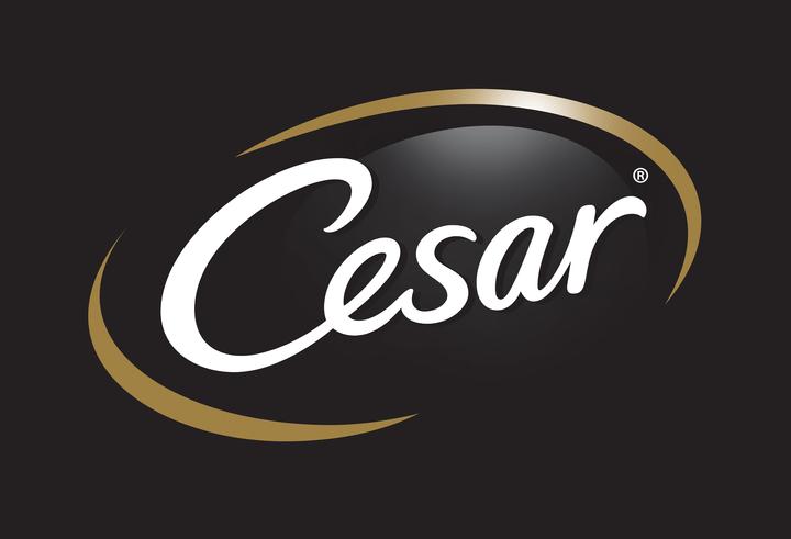 Actual product image Cesar Classic in tureen (Adult, 8 pcs., 150 g)
