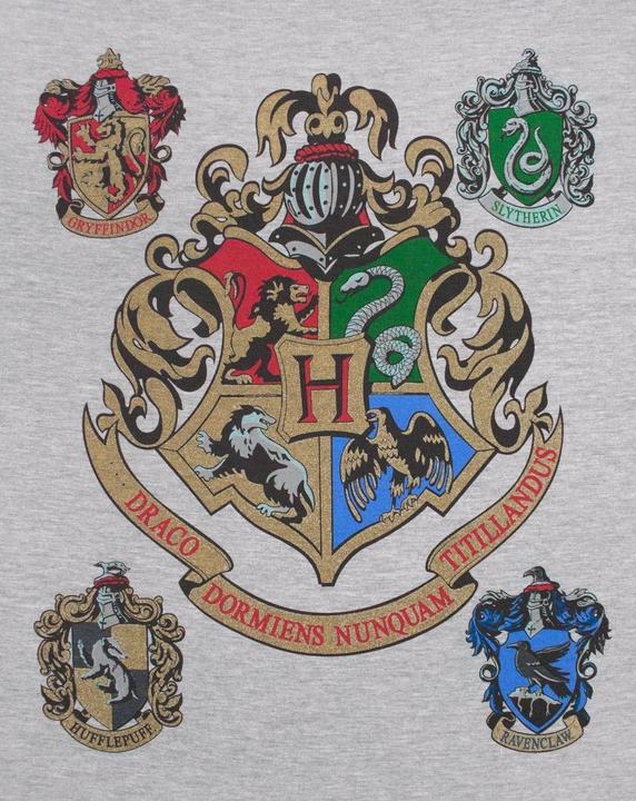 Actual product image Hogwarts raglan top (XXL)