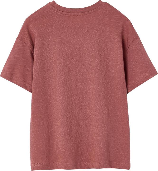 Actual product image Vertbaudet Jungen T-Shirt mit Naturmotiv, Recycling-Baumwolle (116)