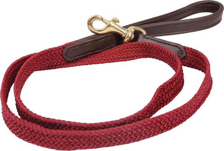 Produktbild Benji & Flo Hundeleine geflochten Leder (100, Hund)