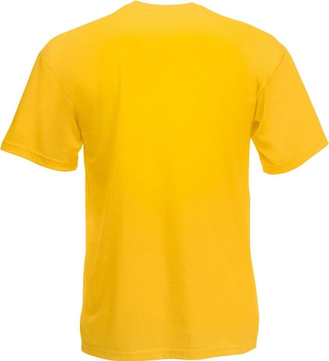 Image du produit Fruit of the Loom T-shirt Valueweight col V manches courtes (M)