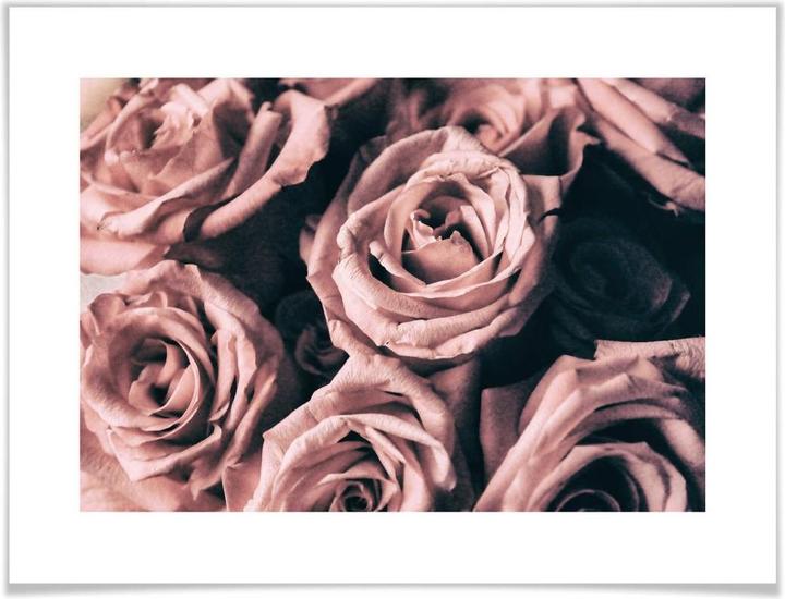 Image du produit Trenddeko Roses roses de style Vintagestyle (30 x 24 cm)