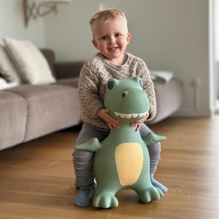 Produktbild Find That Hippo Hüpftier Dexter Dino