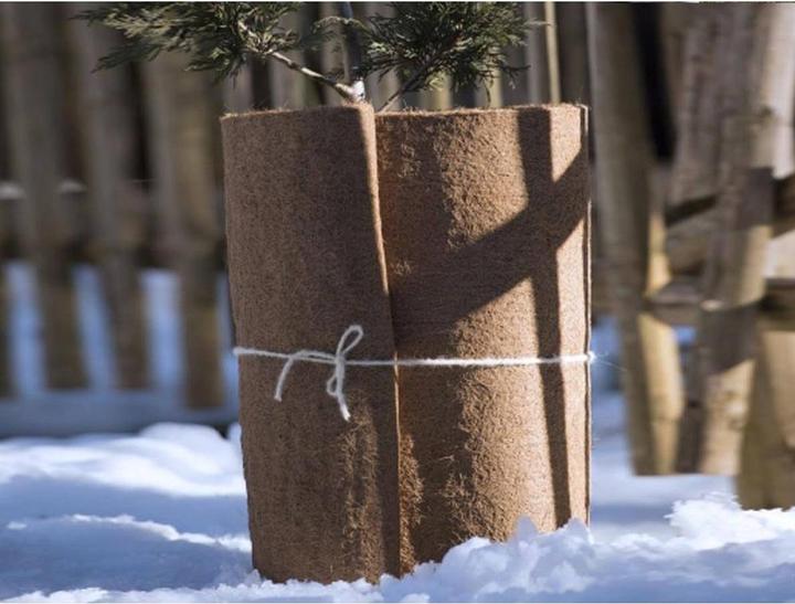 Image du produit Windhager Natte de protection en coco