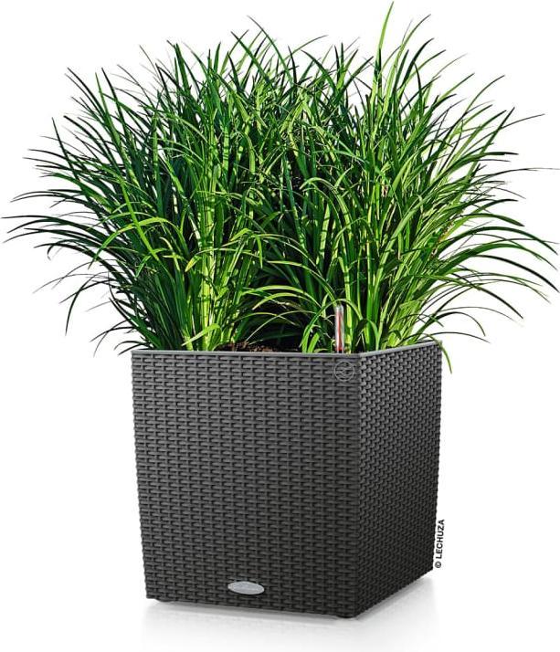 Image du produit Lechuza Cube Cottage (29.50 cm)