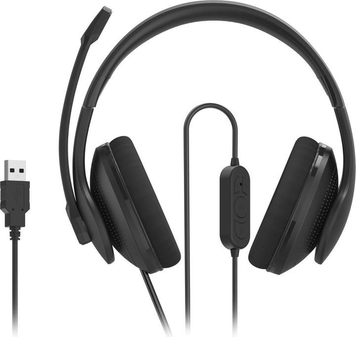 Actual product image Hama HS-USB300 V2 (Cable, USB-A)
