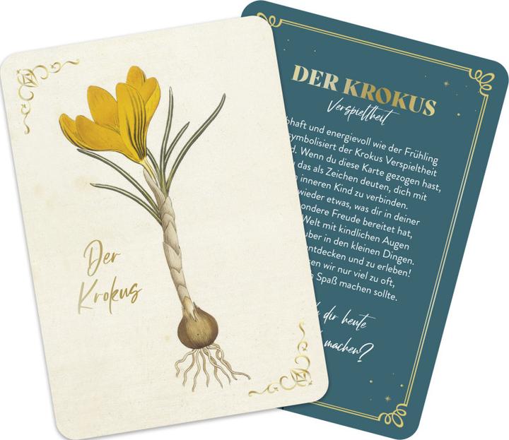 Produktbild Die geheimnisvolle Sprache der Blumen - 50 Orakelkarten für das ganze Jahr (Deutsch, Groh Verlag, 2024)