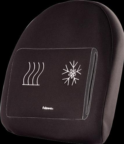 Actual product image Fellowes Back support Professonal Series