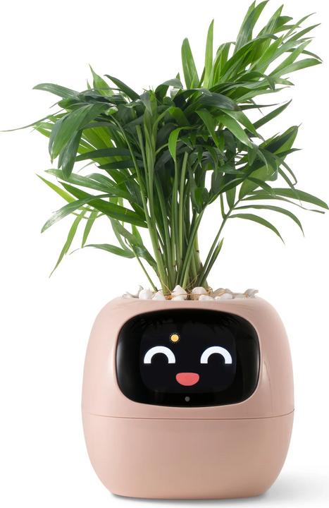 Produktbild Plantsio Ivy Smart Planter