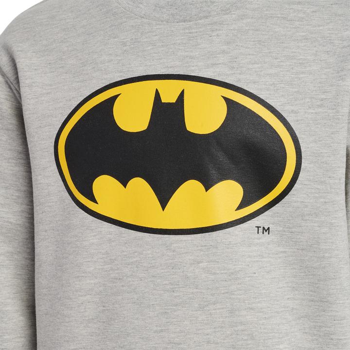 Produktbild hummel Batman Dos Sweatshirt (104)