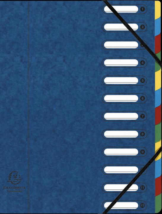 Productafbeelding Exacompta HARMONIKA - A4 dossiermappen (A4, 1 x)
