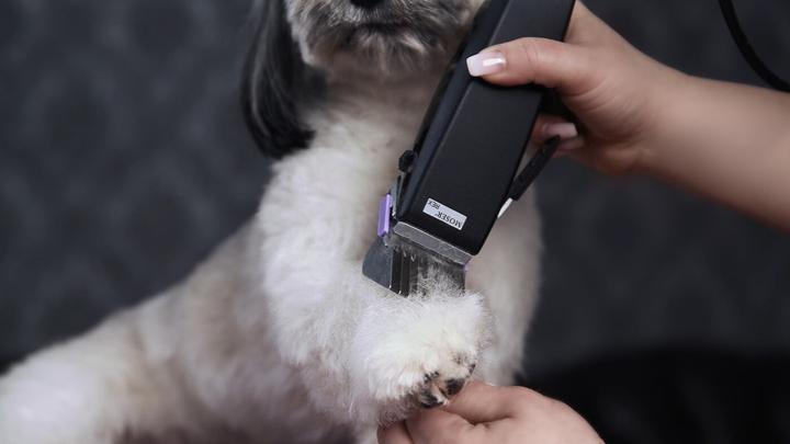 Produktbild Moser Hunde-Haarschneidemaschine (Hund, Katze)