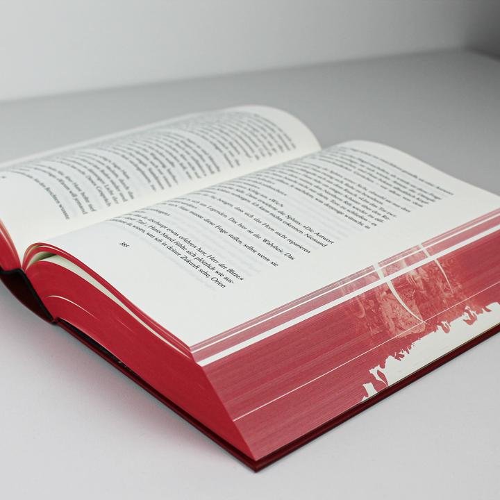 Actual product image Crescent City 1 – Wenn das Dunkel erwacht (German, Sarah J. Meuse, 2020)