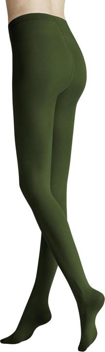 537 verde muschio