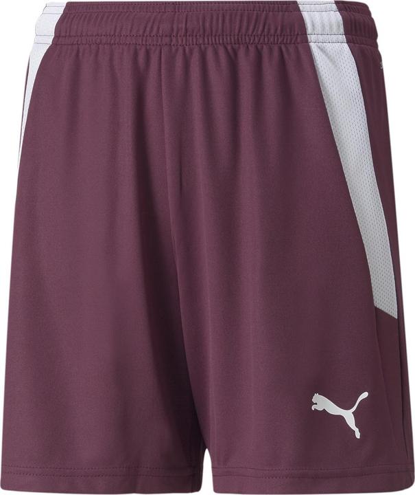 Image du produit Puma short teamLIGA Jr-704931 (140)