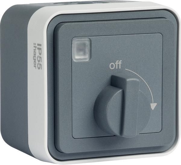 Actual product image Berker 42273515