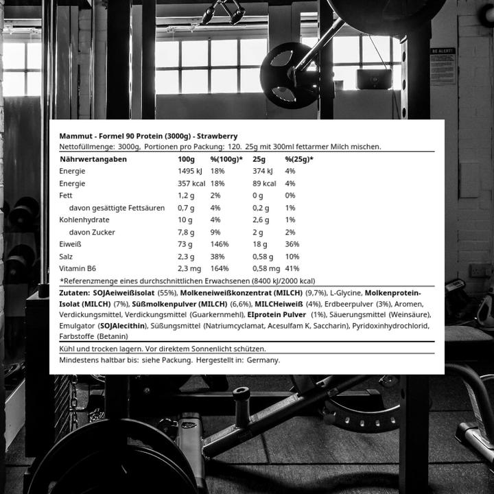 Produktbild Mammut Formel 90 Protein (Erdbeere, 1 Stk., 3000 g)