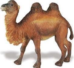 Produktbild Safari Kamel