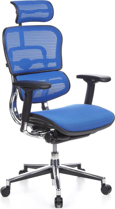 Actual product image Hjh Office ERGOHUMAN