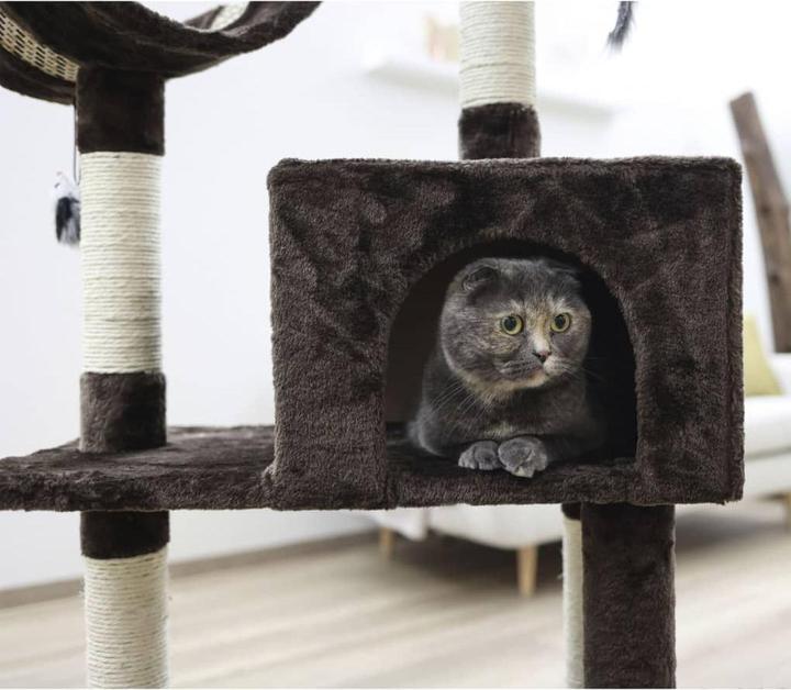 Actual product image Kerbl Scratching post Safari Big (122 cm, Dark brown)
