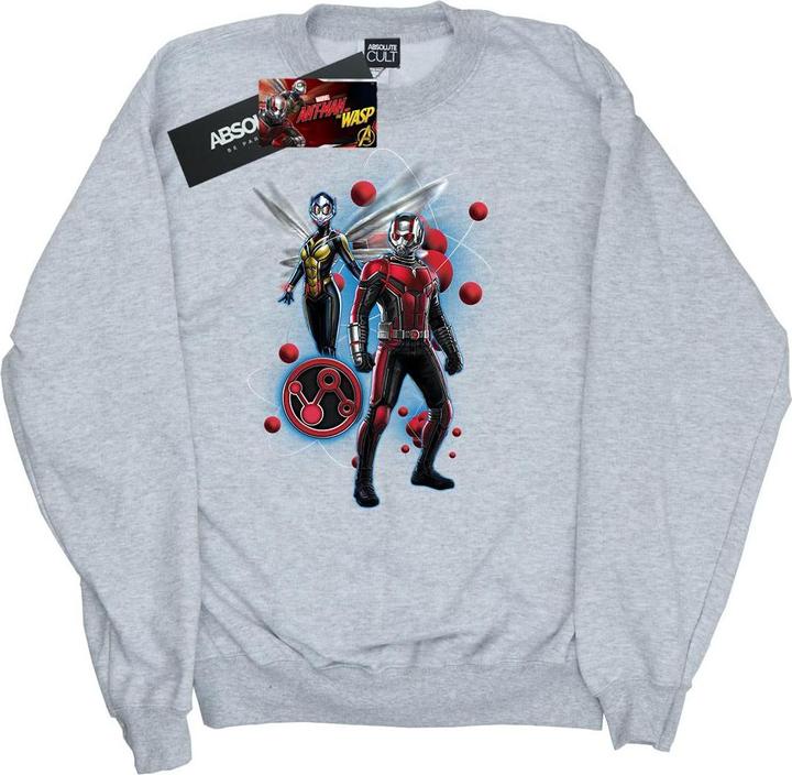 Image du produit Sweat Garçons Ant-Man And The Wasp Particle Pose (140, 146)