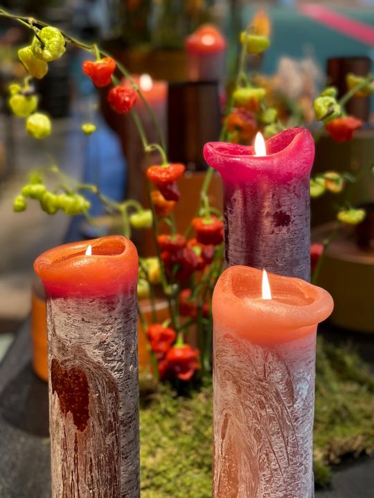 Image du produit Dekocandle Bougie cylindrique crimson Ø 7 x 25 cm (1 pièce) (1 pcs)