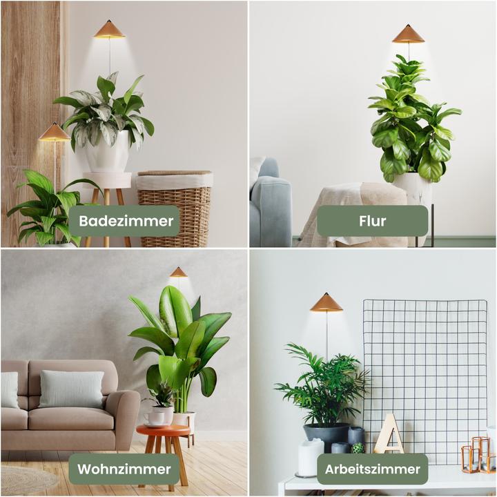 Produktbild Colibri Sunlite (LED, 230 V)