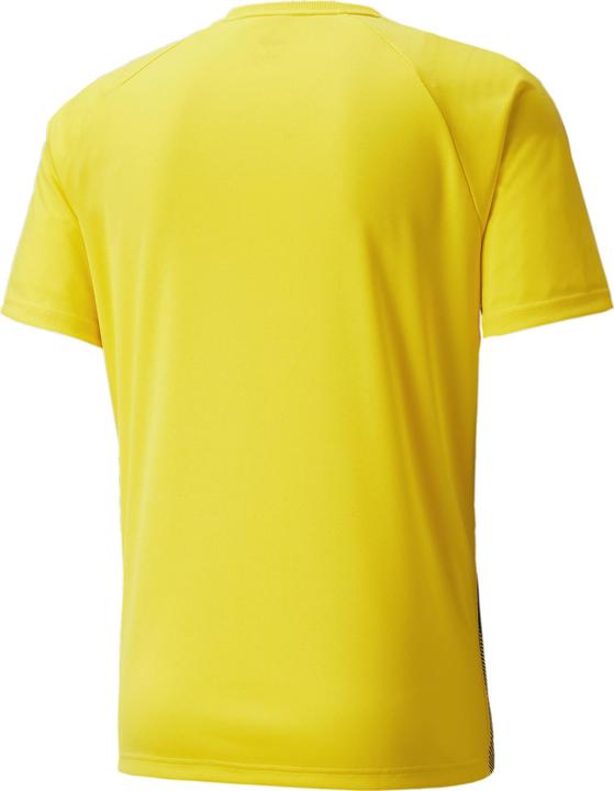 Actual product image Puma teamLIGA Striped Jersey-704920 (XXL)