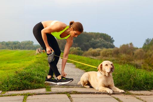 Actual product image Flexi Giant (L, Dog, Walks, General)