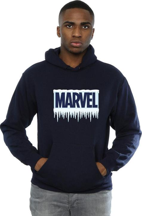 Produktbild Icicle Logo Kapuzenpullover (L)