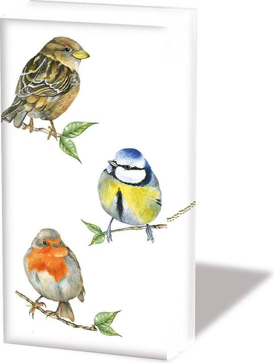 Immagine prodotto Ambiente Fazzoletti di carta "uccelli (10 x)