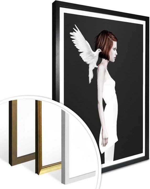 Produktbild Trenddeko Only you - Weisse Taube (80 x 100 cm)