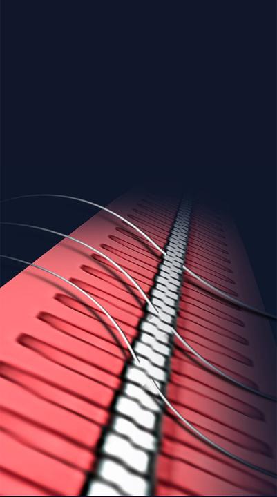 Image du produit Xiaomi Shunzao Z11 pro
